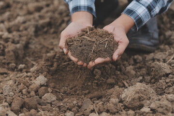 Symbol heart earth day. Handful of dirt hands heart shape. Farm organic earth. Farmer hands soil...