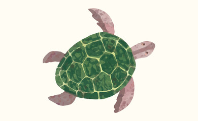 Turtle, Animal wildlife watercolor vector illustration.