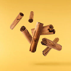 Fresh dried raw Cinnamon stick falling in the air
