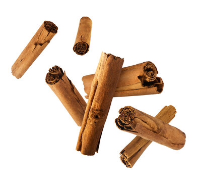 Fresh dried raw Cinnamon stick falling in the air