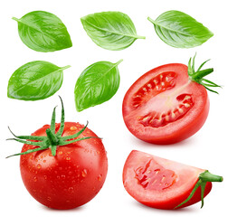 Naklejka premium Tomato isolated with basil leaves. Tomatoes with drops on white background. Set of wet tomato. With clipping path.