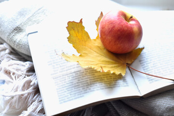 an apple lies on a book, autumn yellow leaf
