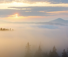 Morning fog on the slopes of the Carpathian Mountains (Ivano-Frankivsk oblast, Ukraine). View on Chornohora.