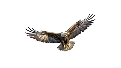 Symbol of Liberty: American Eagle in Flight - Cutout PNG Clipart for Freedom Themes.