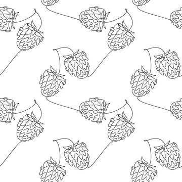 Raspberry strawberry seamless pattern vector. Line continuous background illustration. Botanical outline doodle backdrop. Berries wallpaper, cartoon print, wrapping paper, package design, banner, card