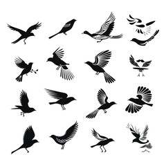 Birds silhouettes collection vector illustration
