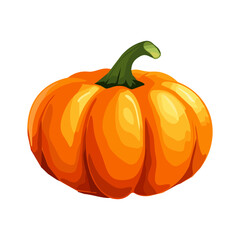 Pumpkin is an isolated vegetable. Harvest season. Vector illustration