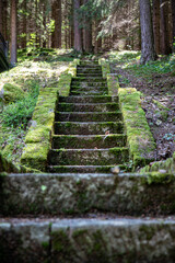 Old stone stairs in the middle of the forest, covered by green moos