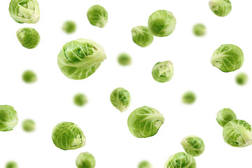 Falling Brussel sprout isolated on white background, selective focus