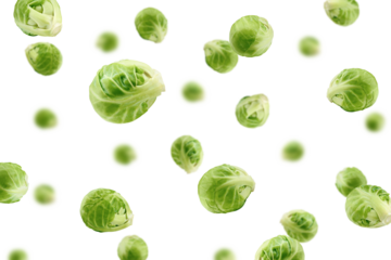 Falling Brussel sprout isolated on white background, selective focus