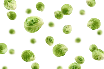 Foto op Aluminium Falling Brussel sprout isolated on white background, selective focus © grey