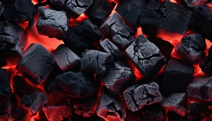 Photo sur Plexiglas Texture du bois de chauffage Details of charcoal for barbecue at picnic.