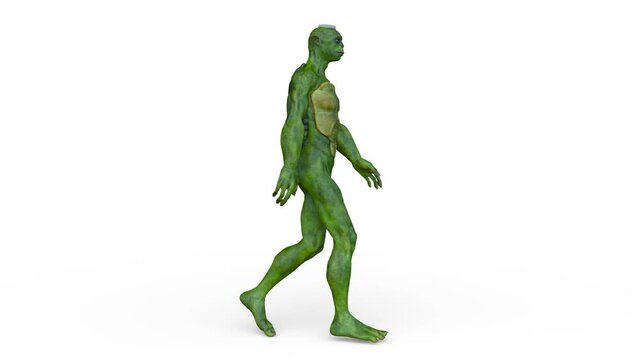 歩くカッパ男