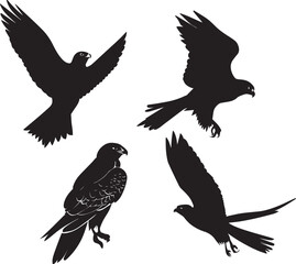 Flying Bird vector silhouette illustration black color