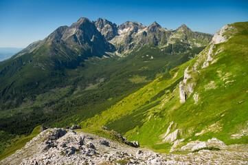 Nature's grandeur captured in this photo as the High Tatras rise above the lush green meadows of the Belianske Tatras.