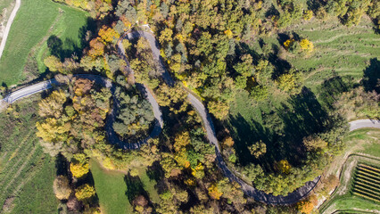 Bosque de Vidrà en Girona