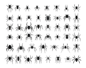 spiders silhouettes