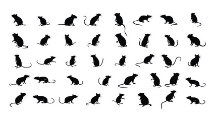rats silhouettes - 643313562