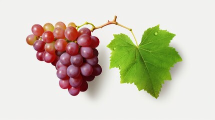 cluster of ripe grapes with a vibrant green leaf