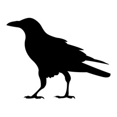 Crow.Black bird silhouette.