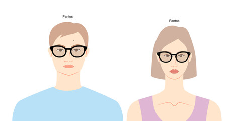 Pantos frame glasses on women and men flat character fashion accessory illustration. Sunglass front view unisex silhouette style, rim spectacles eyeglasses, lens sketch style outline isolated on white
