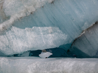 Shakes Lake Iceberg Detail