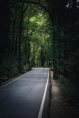 Estradas vazias no parque nacional do Gerês