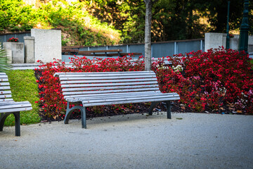 Banco de jardim branco com flores vermelhas por trás