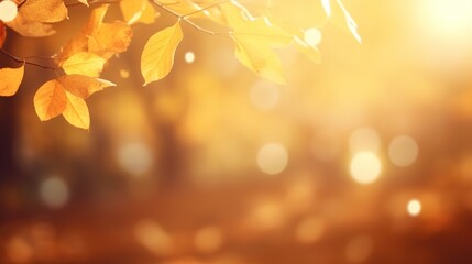 autumn leaves in the light background with bokeh lights