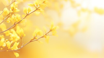 autumn leaves with sun rays background