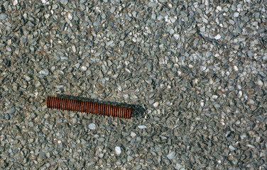 An old cut rusty bolt lies on the ground - subject , metals that rust and corrode applications where defects are not important