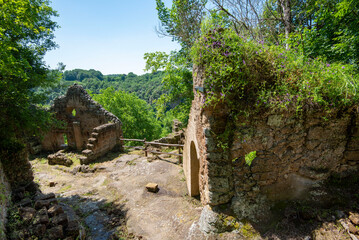 Fototapeta na wymiar Ruins of Antica Monterano - Italy