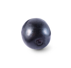 One tasty ripe bilberry isolated on white