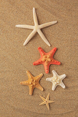 Many beautiful sea stars on sand, flat lay