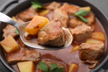 Spoon with delicious goulash above pot, closeup
