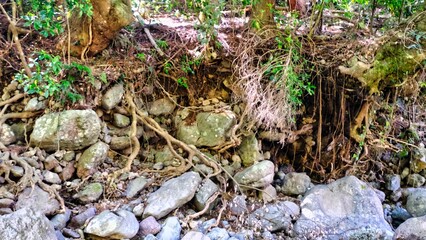 いわなだれが落ちた風景