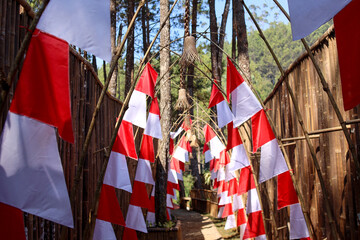 Red and white Indonesia flags along foothpath to enliven Indonesia Independence Day 