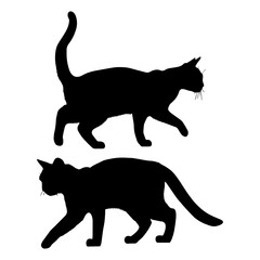 Vector illustration. Set of silhouettes of cats in different poses. Animal movement.