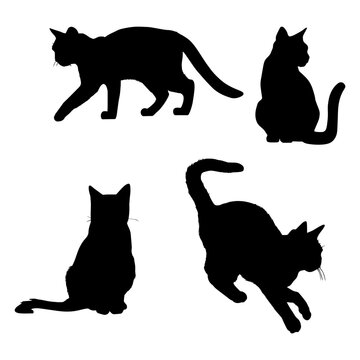 Vector illustration. Set of silhouettes of cats in different poses. Animal movement.