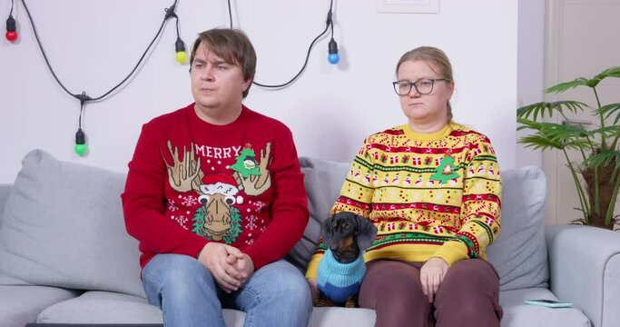 Guest sitting on sofa are bored at holiday party family dinner Man, woman, dog in ugly sweater are sitting on couch waiting for courier with New Year delivery Sad couple, relationship crisis, quarrel 