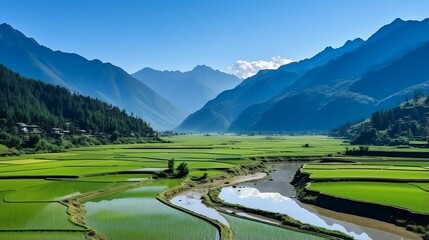 Tranquil rice terraces against the backdrop of distant mountains 
