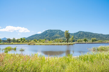 新潟　上堰潟公園
