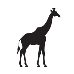 giraffe silhouette - obrazy, fototapety, plakaty