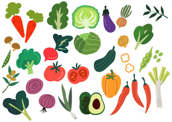 vegetables-illustration / 野菜イラスト