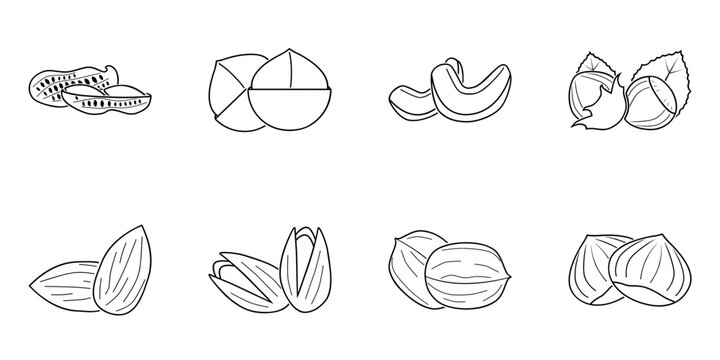 Nuts Line Art SVG Icons Set