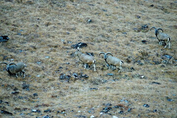 Bhutan's landscapes and monuments captured