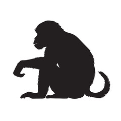 monkey silhouette