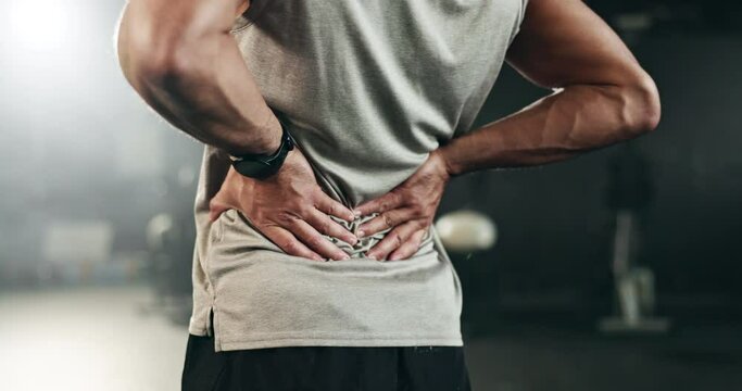 Fitness, back pain and hands of man at gym for training with muscle, problem or arthritis. Sports, injury and guy athlete with joint massage for backache, fibromyalgia or osteoporosis accident
