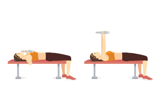 Sport woman doing barbell bench chest press exercise pose by empty Barbell. Illustration about Fitness training to build chest muscles with weight lifting equipment.