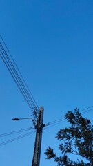 lines